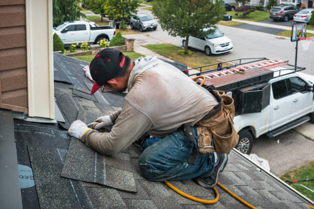 Professional Gutter Repair And Installation technician working in Corrigan, TX